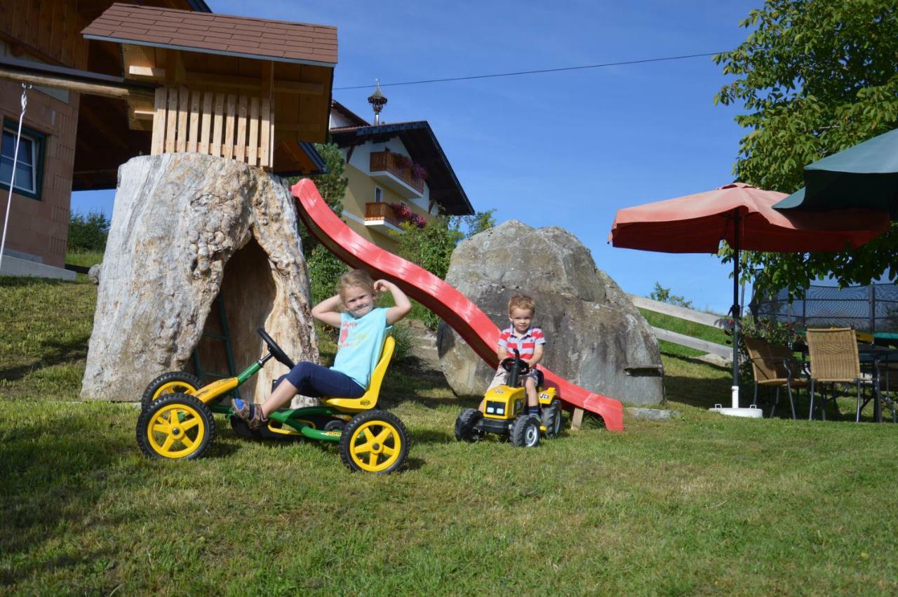 Aignerhof Villa Haus im Ennstal Exterior foto