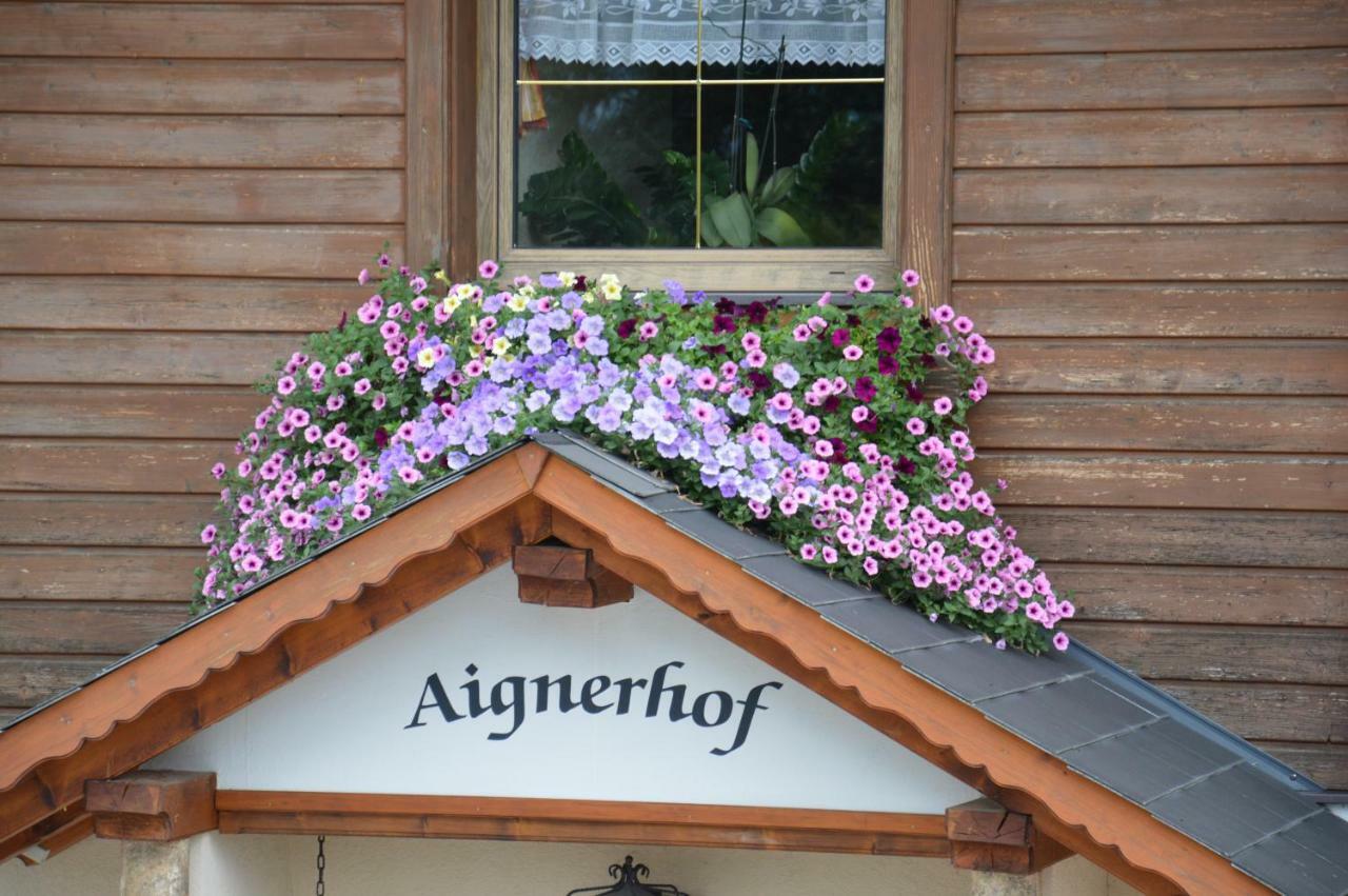 Aignerhof Villa Haus im Ennstal Exterior foto